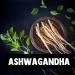 Cupplement | Ashwagandha Capsules 60 Pcs | 500 MG per Organic Capsules | Top Quality | Mushroom | 2 measurements per day - Buy Online on GoSupps.com
