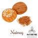 Naturevibe Botanicals Organic Nutmeg Whole 1.76oz (50gm) | Non-GMO, Gluten Free Indian Spice - Buy Online on GoSupps.com