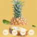Dried Crushed Pineapple 3.5oz. Dried Pineapple Pineapple Crushed Pineapple Pineapple Dried Pineapple - Buy Online on GoSupps.com