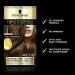 Schwarzkopf Oleo Intense Brown Hair Dye 3-Pack Permanent Oil Colour No Ammonia Covers Greys Gold Brown 4-60 Gold Brown 3 count (Pack of 1) - Buy Online on GoSupps.com