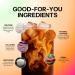 Moment Hot Girl Mushroom Coffee with Collagen Protein & Creatine Low Acidity Instant Coffee with Chocolatey Notes Lion s Mane Reishi & L-Theanine for Energy Focus & Mental Clarity 25 Servings - Buy Online on GoSupps.com