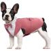 Kuoser Dog Smoking Suit & Bandana Set Pet Fomal Clothing Dogs Mantel with Removable Flying Dog Suit Puppy Costume Shirt For Wedding Halloween Birthday Party S-XXL S back length: 29 cm red bean paste