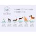 Unique Style Paws Dog Collar with Fly | Comfortable Cotton Thanksgiving Collar for Young Girls' Dogs | XS Neck 8-12in | Turkey Party - Buy Online on GoSupps.com