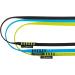EDELRID Tech Web Sling 12mm x 90cm - Durable Lightweight and Versatile for International Adventure - Buy Online on GoSupps.com