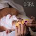 BCL SPA Moisture Mask 16oz - Jasmine Coconut | Hydrating Facial Treatment - Buy Online on GoSupps.com