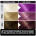 Punky Purple Semi-Permanent Hair Color - Vegan, PPD & Paraben Free - Vibrant Non-Damaging Dye - Easy to Apply - Lasts up to 35 Washes - 3.5oz - Buy Online on GoSupps.com