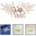 Beavorty Wedding Bride Hair Comb Bride Hair Accessories Wedding Hair Accessories Bridal Hair Accessories Flower Hair Side Comb Decorative Hair Comb Pearl Metal Manual Dinner Party White - Buy Online on GoSupps.com