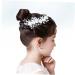 Angoily Hair Accessory for Women Crystal Ab Rhinestones Hair Rhinestones Womens Hair Clips Pearl Hair Barrettes Flower Girl Hair Clip Tiara Bridal Hair Comb Wedding Bride Accessories - Buy Online on GoSupps.com