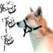 Dog Head Collar Dog Muzzle Head Halter Collar for Dogs No-Pull Training Tool for Dogs on Walks Headcollar for Medium Large Dogs.Five Sizes (XL) - Buy Online on GoSupps.com