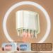 Scalp Applicator Comb & Hair Oil Bottle Brush for Scalp Massage & Hair Growth | International Shipping - Buy Online on GoSupps.com
