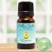 Buy Clean Essential Oil Blend | 100% Pure & Natural Aromatherapy | International Shipping - Buy Online on GoSupps.com