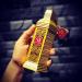 Al Haramain Golden Oud - Perfume for Women and Men - Amber Spicy fragrance - Timeless Elegance with Notes of Thyme and Sandalwood - 3.4 oz EDP Spray - Buy Online on GoSupps.com