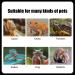 MIOYOOW 3PCS Reptile Feeding Clamp Set | Tweezers for Turtles Frogs Spiders & Lizards | Durable Reptilia Feeding Tools - Buy Online on GoSupps.com