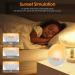 Light Alarm Clock with Sunrise Simulation | LED Wake Up Light & FM Radio | 7 Colors & Alarm Tones for Kids & Adults - Buy Online on GoSupps.com
