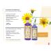 Buy Anti Dandruff & Regenerative Shampoo Ajo y rnica 1L - Florigan Purple | Fast International Shipping - Buy Online on GoSupps.com