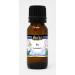 Bay Pure Essential Oil (0.50 oz ZIN: 305083) - 3 Pack