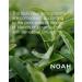 NOAH Natural 2.3 Masque capillaire r g n rant l'huile d'argan pour cheveux tr s secs ou ab m s 500 ml - Buy Online on GoSupps.com
