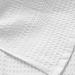 GILDEN TREE Waffle Towel 8-Pack White Washcloths - Quick Dry, Thin, Exfoliating for Face & Body - Classic Style - Buy Online on GoSupps.com