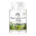 Herbadirekt - saw palm extract 300mg - with beta -sitosterol - large pack - 250 capsules |Herbadirekt by Warnke Vital substances - German pharmacy quality