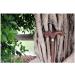 Solid Wooden Walking Cane Wood Canes Wooden Cane Faucet Handle Wenge Walking Stick Old Man Crutches Solid Wood Walking Stick Walking Aid Brown for Elderly Seniors - Buy Online on GoSupps.com