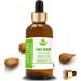 Pure Herbs Apple Seed Oil - 100ml | Pure & Natural Therapeutic Grade Carrier Oil - Buy Online on GoSupps.com