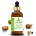 Pure Herbs Apple Seed Oil (Pyrus Malus) Pure and Natural Therapeutic Grade Carrier Oils with Drops 100 ml