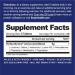 BodyHealth PerfectAmino Tablets (3-Pack) - Essential Amino Acids with BCAAs for Muscle Recovery & Strength - Buy Online on GoSupps.com