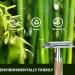 Long Handle Double Cutter Razor Planer | 5 Blades Hair Removal Razor for Men & Women | Eco-Friendly Recycling Box - Buy Online on GoSupps.com