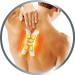 Thermacare Flexible Heat Pads - Pain Relief for Neck Shoulder Back - 6 Pack of Muscle Pain & Tension Relief - Buy Online on GoSupps.com