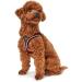 HUNTER HILO COMFORT Harness for Small Dogs - Mesh & Reflective Red Size S | International Shipping Available - Buy Online on GoSupps.com