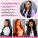 Maxine 13x6 HD Invisible Lace Front Human Hair Wig 24 Inch - Pre-Plucked Silky Straight 180% Density - Buy Online on GoSupps.com