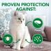 Vet's Best Flea Treatment - 8 Ounces - Buy Online on GoSupps.com