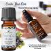 Peaceful Home Essential Oil - House Blessing & Purification | 100% Organic | Crystal-Infused | Restore Balance & Harmony - 0.33 oz - Buy Online on GoSupps.com