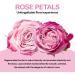 Rose Body Lotion | 8.8 fl.oz Moisturizing Body Milk | Plant-Based Softeners | Long-Lasting Moisture | Restores Suppleness and Elasticity | Rose Scented - Buy Online on GoSupps.com