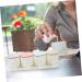 Zerodeko Seasoning Jar 1 Set Combination Seasoning Box Simple Spoon Cover Kitchen Pots 31.5x8.5cm White - Buy Online on GoSupps.com