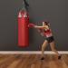 Cocoarm Boxing Bag Bracket Wall Holder - Heavy-Duty Steel Punching Bag Hanger with 100 kg Load Capacity & Fastening Screws - Buy Online on GoSupps.com