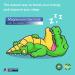 Highly Absorbable Magnesium Glycinate for Sleep, Muscle Relaxation & Health - Vegan, Gluten-Free, Non-GMO - Buy Online on GoSupps.com