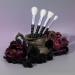 Profusion Cosmetics Rituals Altar Face & Eye Set Brushes | Premium Cruelty-Free Beauty Tools for Haunting Looks - Buy Online on GoSupps.com