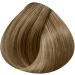 KIN Cosmetics Coloration Permanente Nouvelle g n ration 8.32 : Blond Clair Dor Iris  - Buy Online on GoSupps.com