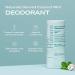 Hey Humans Coconut Mint Vegan Deodorant - Aluminum Free Natural Ingredients Odor Protection Eco-Friendly - 4 Pack (2 oz - Buy Online on GoSupps.com