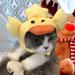 Cute Animal Headgear Hat for Cats & Dogs | Sweet Duck Costume with Wings - Perfect Pet Decoration - Buy Online on GoSupps.com