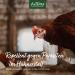 AniForte Mite Spray for Chicken & Poultry 500ml - Natural and Effective Treatment for Mites and Parasites - Buy Online on GoSupps.com