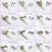 KACHIMOO 3D Nail Bows Charms - 24 PCS Alloy Pearl Bowknot Nail Accessory | Women/Girls Nail Decor Set - Buy Online on GoSupps.com