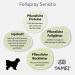 TAMEI BIO Fellspray for Sensitive Dogs & Puppies - Fragrance-Free Vegan Combing Aid & Care - 250ml - Fur Vitalizing & Smooth - Buy Online on GoSupps.com