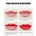 Petansy 5Pcs Double Head Matte Lipstick Set - Long Lasting & Waterproof Lip Liner and Lipstick Duo - Buy Online on GoSupps.com