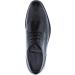 Zanzara Men's Coconut Oxford 11 UK Black - Buy Online on GoSupps.com