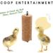 Manna Pro Chick Supplies Treat | Chick Brooder Stick | Chicken Coop Accessories | Starter Kit - 15 oz - Buy Online on GoSupps.com