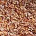 Pondovit Gammarus - Premium Freshwater Shrimp Koi Treats (1.2L) | High-Quality Snacks for Healthy Fish - Buy Online on GoSupps.com