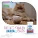 Revive Active - Feline Hairball Soft Chews 48ct - Cat Hairball Remedy Designed Specifically for Cats That are Prone to Hairball Problems - Treats That Help Maintain a Healthy Coat. - Buy Online on GoSupps.com