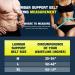Back Brace Lumbar Support Belt for Lower Back Pain Relief - Heavy Lifting, Sciatica, Herniated Disc - Compression Belt for Men and Women - Large - Buy Online on GoSupps.com